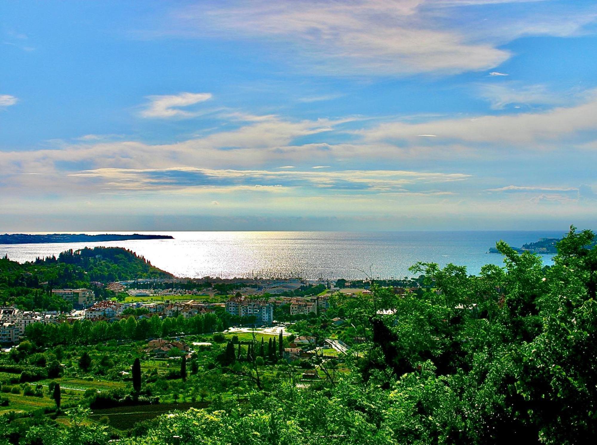 Sea View Olive Retreat Apartman Portorož Kültér fotó
