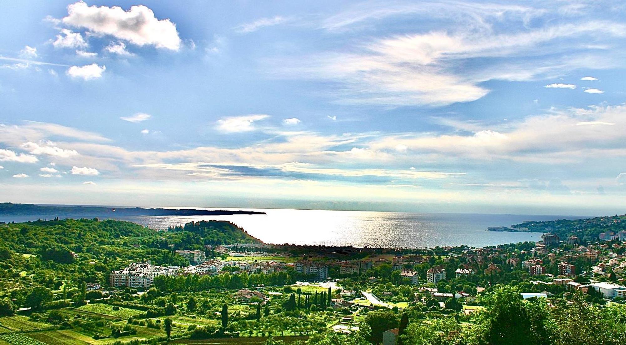 Sea View Olive Retreat Apartman Portorož Kültér fotó