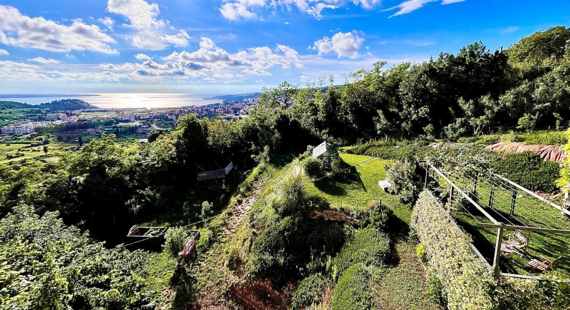 Sea View Olive Retreat Apartman Portorož Kültér fotó